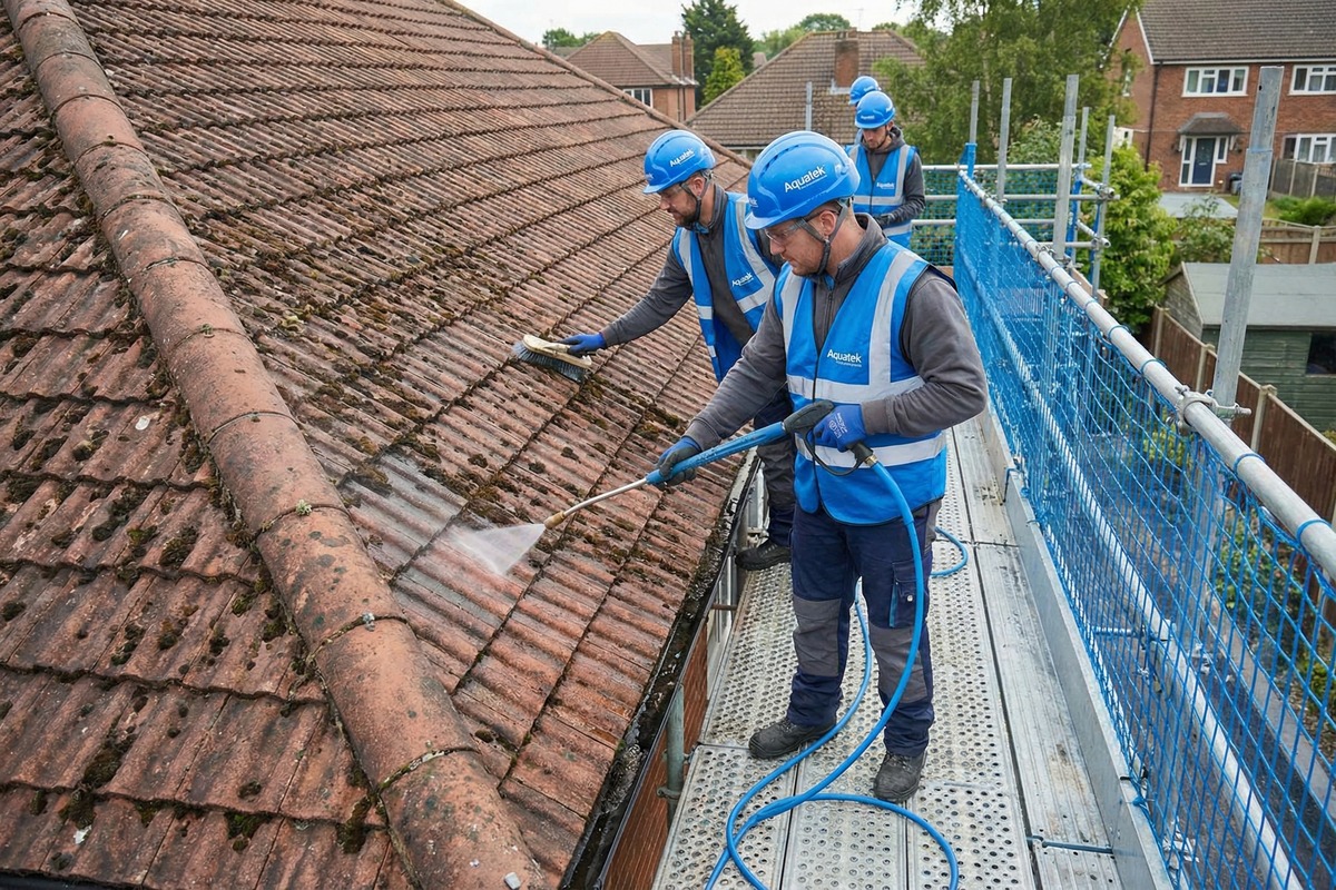 Roof Cleaning image 2